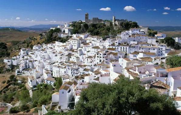 City, town, building