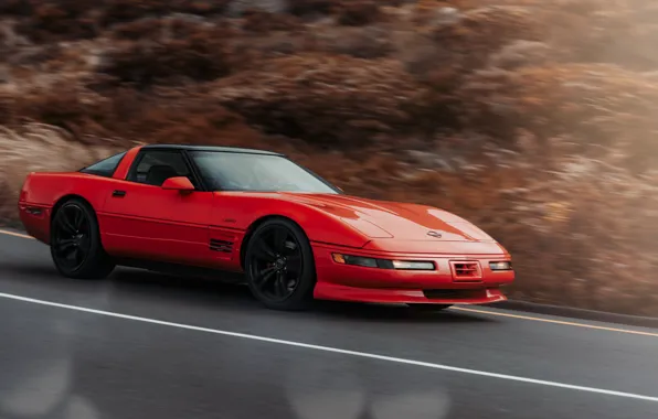 Картинка Chevrolet, Car, Corvette 1995