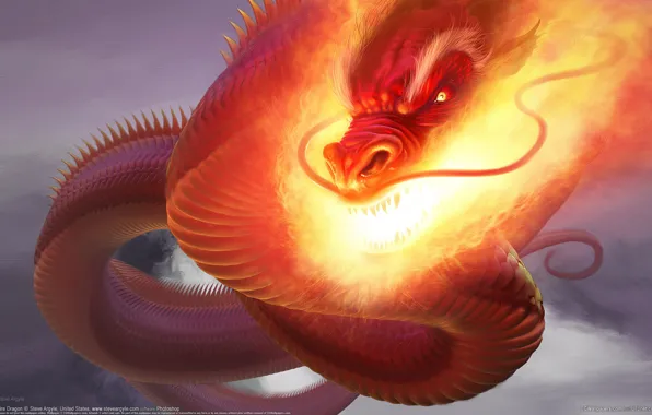 Картинка Дракон, Огонь, CG Wallpapers, Steve Argyle, Fire Dragon, Змей