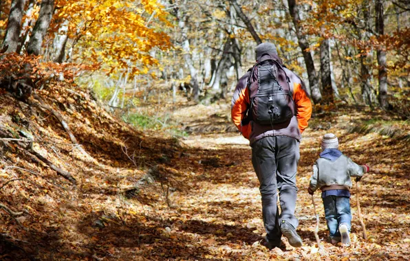 Child, adult, Forest, Hiking, father and son