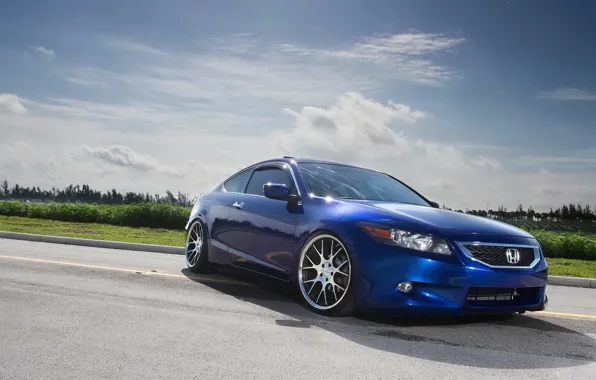 Honda, japan, blue, jdm, tuning, accord, low, acura