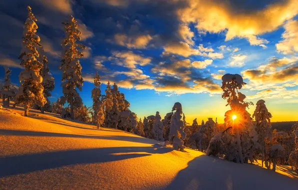 Зима, небо, облака, снег, пейзаж, природа, гора, white