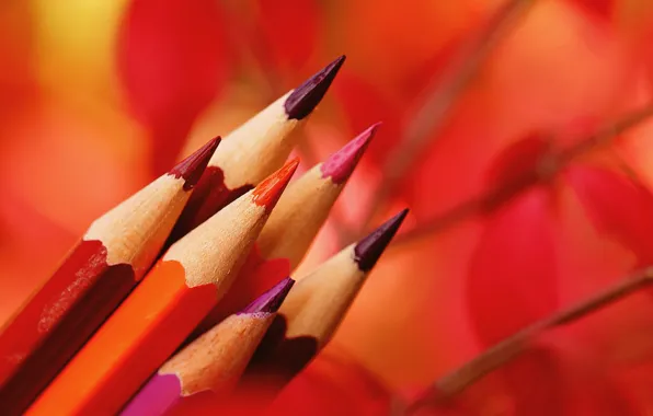 Макро, фон, карандаши, цветные карандаши