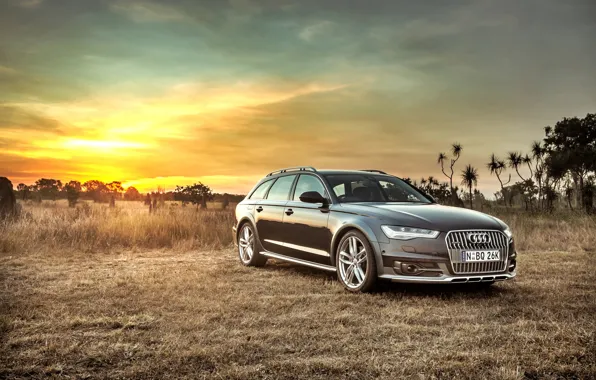 Audi, ауди, TDI, Allroad, quattro, AU-spec, 2015