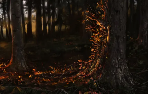 Картинка осень, лес, деревья, арт, дриада