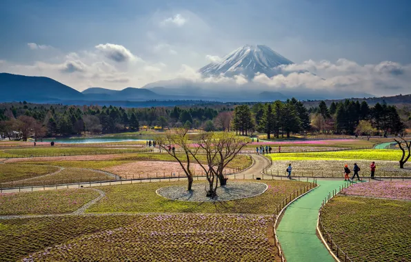Картинка Япония, Гора Фудзи, Fuji Shibazakura