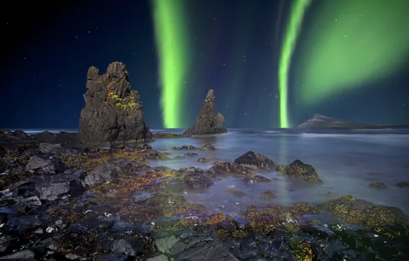 Aurora, Night, Iceland, Shore, Vik, Reef, Trellis