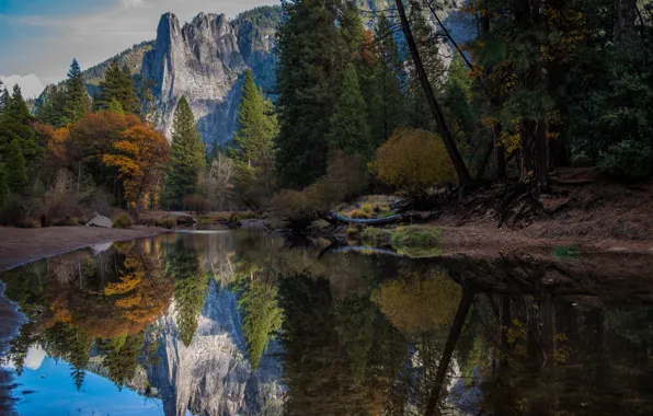Картинка USA, forest, trees, nature, California, autumn, mountains, lake