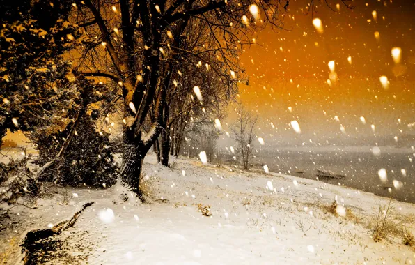 Картинка осень, снег, Arizona, Concho Lake