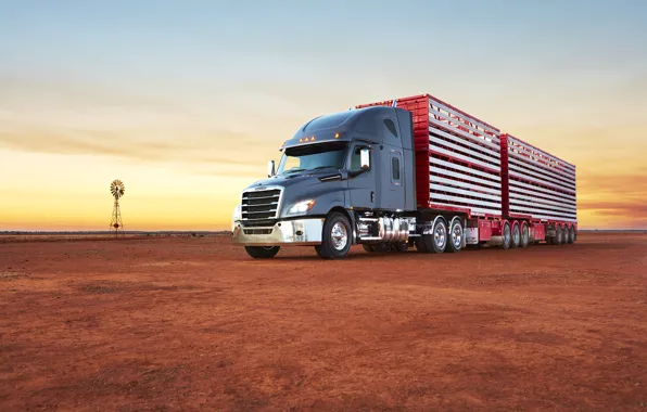 Sunset, australia, Freightliner Cascadia