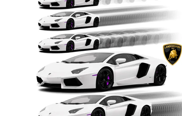 Картинка Lamborghini, Белый, Белый фон, Арт, Суперкар, Ламборгини, Supercar