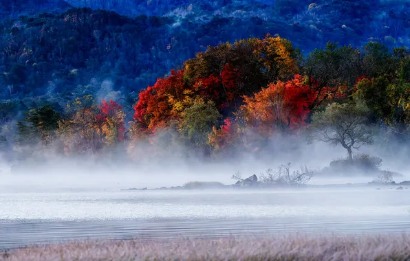 Картинка lake, dawn, mist, melody, hibara