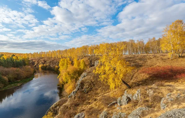 Картинка осень, лес, пейзаж, природа, река, берега