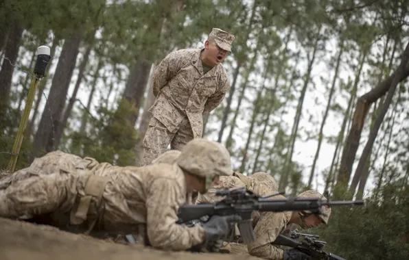 Military, training, firearms, armed forces, shouting, orders