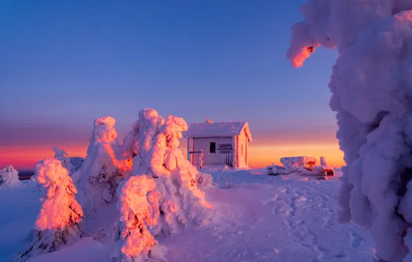 Картинка зима, снег, деревья, пейзаж, следы, природа, домик, Финляндия