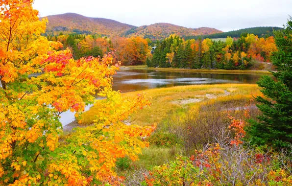 Картинка осень, лес, небо, листья, деревья, горы, река