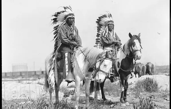 Horses, native american, first people, proud men, two chiefs on horses