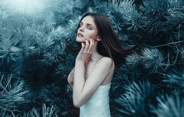 Губки, иголочки, Winter Wonderland, шишечки, Adam Bird