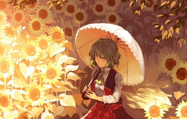 Подсолнухи, зонт, зеленые волосы, Touhou Project, в клеточку, Проект Восток, Kazami Yuuka, свет и тень