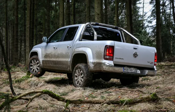 Картинка лес, деревья, ветви, растительность, Volkswagen, пикап, Amarok, Highline