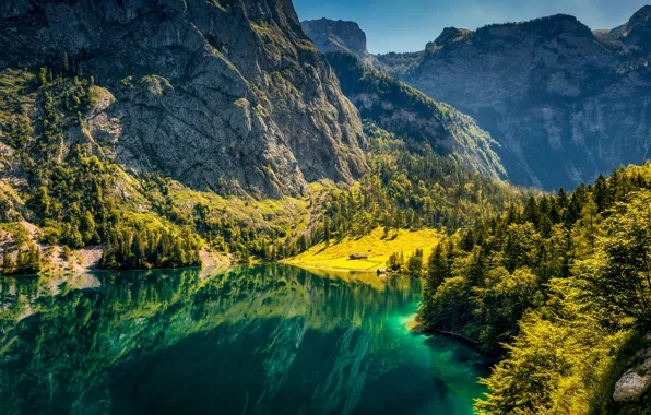 Лес, горы, озеро, Германия, Бавария, Germany, Bavaria, Bavarian Alps