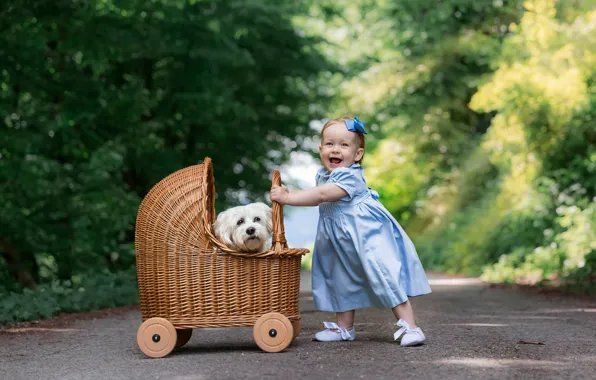 Картинка дорога, радость, настроение, собака, платье, девочка, коляска, прогулка