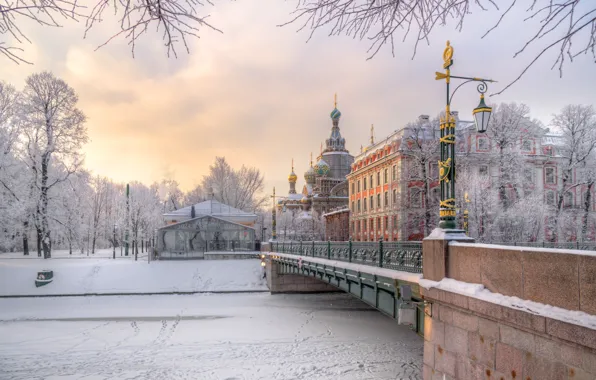 Картинка зима, снег, мост, город, река, здания, Питер, фонари