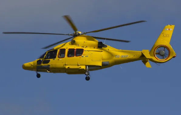 Вертолёт, многоцелевой, Eurocopter, EC155B1