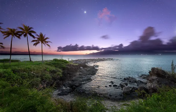 Картинка ночь, пальмы, океан, побережье, звёзды, Hawaii, Maui
