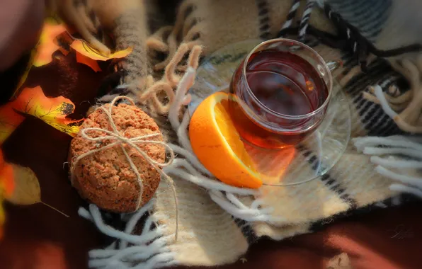 Картинка осень, тепло, настроение, чай, апельсины, плед, autumn, tea