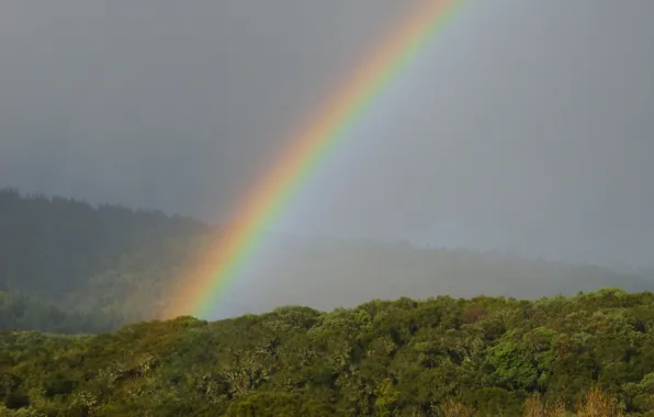 Природа, радуга, Rainbow, nature