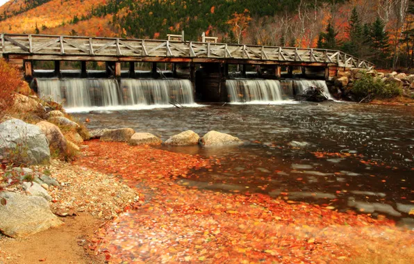 Картинка Поток, Осень, Река, Fall, Bridge, Autumn, Colors, River