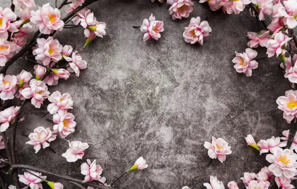 Цветы, розовые, цветение, wood, pink, blossom, flowers, spring