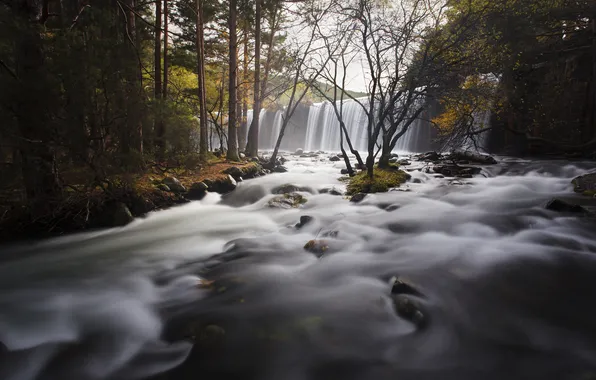 Картинка осень, пейзаж, природа, река