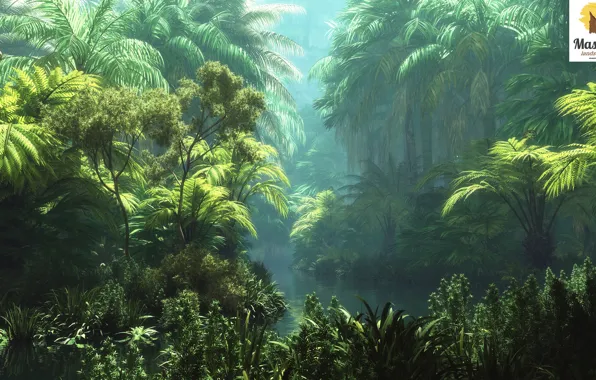 Природа, тропики, река, растительность, djungla