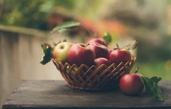 Яблоки, фрукты, Freshly picked apples