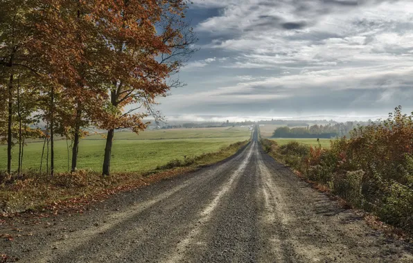 Картинка дорога, поле, осень, небо, природа