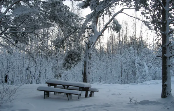 Картинка зима, лес, снег, скамья