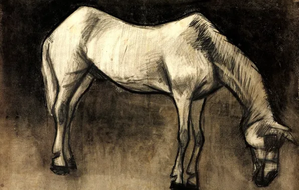 Картинка Vincent van Gogh, белая лошадь, Old Nag
