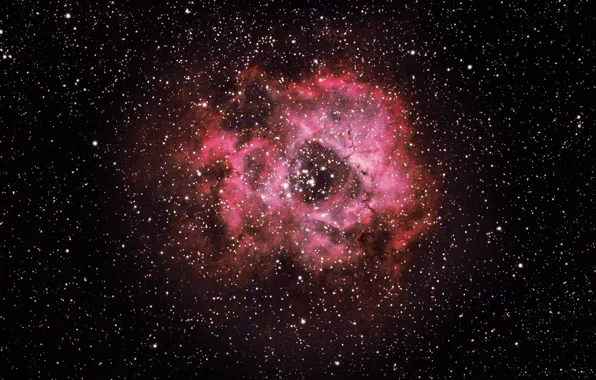 Space, nebula, stars, rosetta nebula