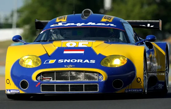 Картинка 2008, спорт кар, Spyker, Laviolette, Spyker C8 Laviolette GT2R, GT2R