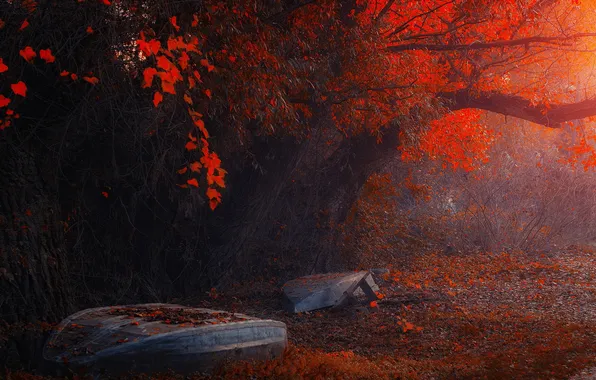 Картинка осень, деревья, лодки
