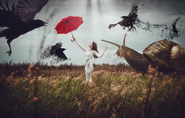 Картинка поле, трава, девушка, волосы, улитка, платье, вороны, красный зонт