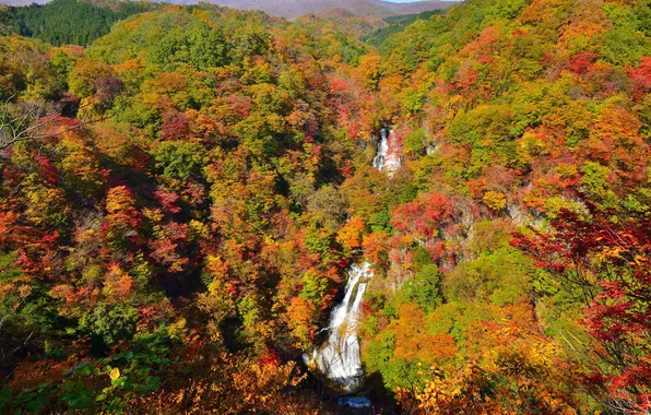 Картинка осень, лес, небо, горы, река