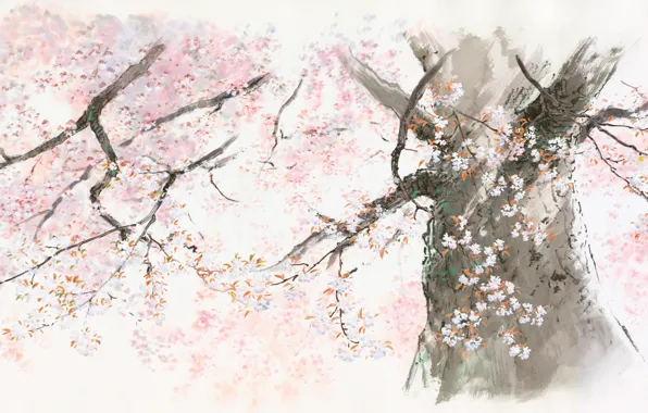 Дерево, Ghibli, сказание о принцессе кагуя, Исао Такахата, kaguya hime no monogatari