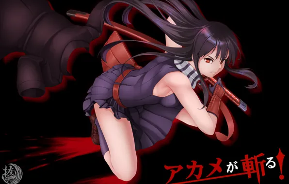 Девушка, фон, Akame ga Kill!, Убийца Акаме