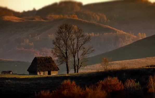 Картинка осень, деревья, пейзаж, природа, холмы, дома, леса, Румыния