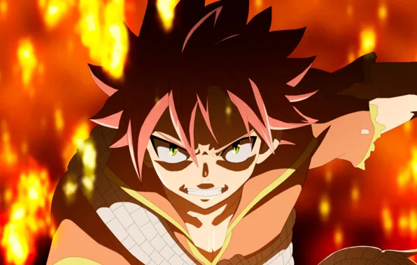 Огонь, парень, Fairy Tail, Нацу Драгнил, Хвост феи
