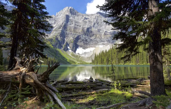 Деревья, пейзаж, горы, озеро, Канада, Альберта, округ Кананаскис, Rawson Lake