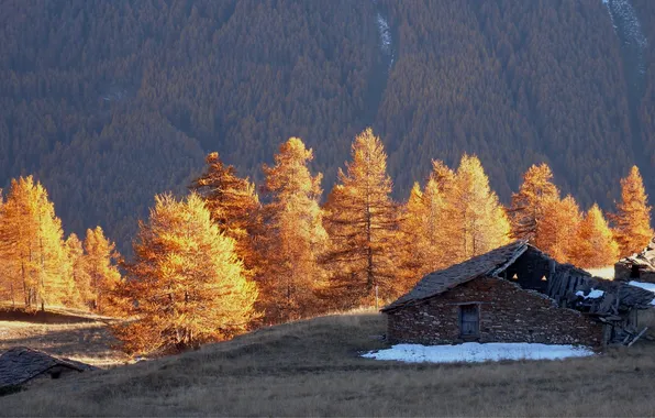 Картинка деревья, горы, дом